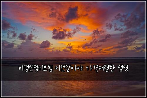 비갱신정기보험 이건알아야  가격저렴한 생명