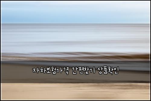 자차보험가격 간편찾기 상품확인