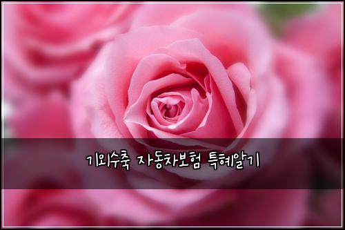 ๊ธฐ์ธ์์ถ ์๋์ฐจ๋ณดํ ํนํ์๊ธฐ