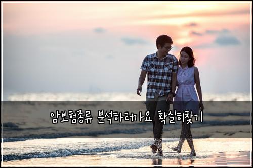 암보험종류 분석하러가요 확실히찾기