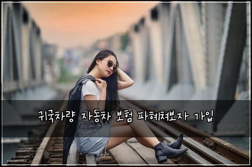 ๊ท๊ตญ์ฐจ๋ ์๋์ฐจ ๋ณดํ ํํ์ณ๋ณด์ ๊ฐ์