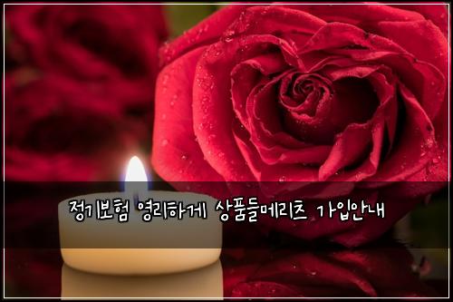 정기보험 영리하게  상품들메리츠 가입안내