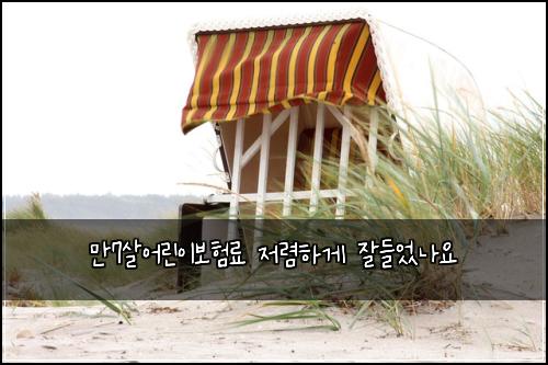 만7살어린이보험료 저렴하게 잘들었나요
