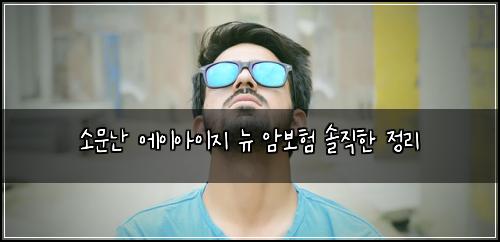 소문난 에이아이지 뉴 암보험 솔직한 정리