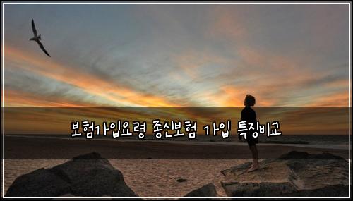 보험가입요령 종신보험 가입 특징비교