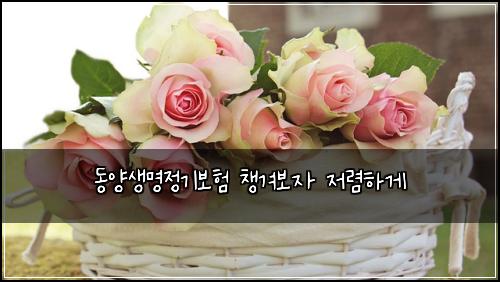 동양생명정기보험 챙겨보자  저렴하게