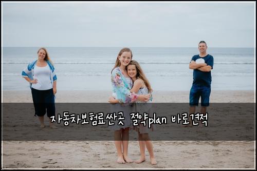 자동차보험료싼곳 절약plan 바로견적