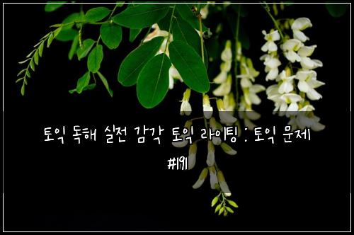 토익 독해 실전 감각 토익 라이팅 : 토익 문제 #191