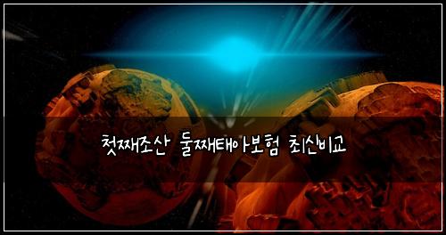 첫째조산 둘째태아보험 최신비교 