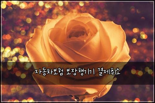 μλ차보ν 보μ₯μ±κΈ°κΈ° κ²°μ μ·¨μ