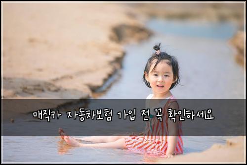 매직카 자동차보험 가입 전 꼭 확인하세요