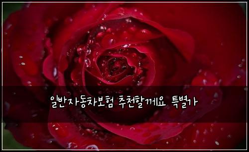 ์ผ๋ฐ์๋์ฐจ๋ณดํ ์ถ์ฒํ ๊ป์ ํน๋ณ๊ฐ