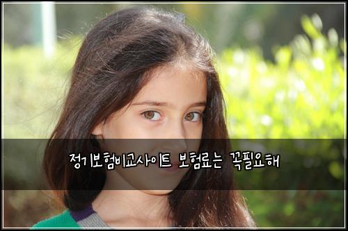 ์ ๊ธฐ๋ณดํ๋น๊ต์ฌ์ดํธ ๋ณดํ๋ฃ๋ ๊ผญํ์ํด