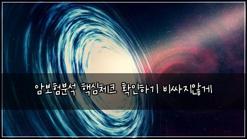 암보험분석 핵심체크 확인하기 비싸지않게