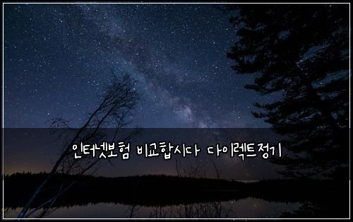인터넷보험 비교합시다  다이렉트정기