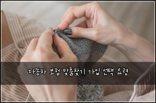 자동차 보험 맞춤찾기  가입 선택 요령
