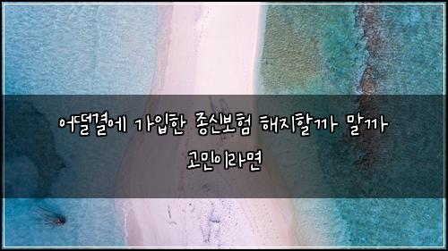 어떨결에 가입한 종신보험 해지할까 말까 고민이라면