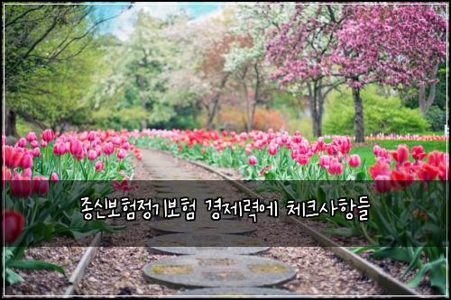 종신보험정기보험 경제력에 체크사항들