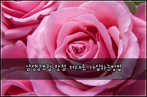 남성암보험 장점  제대로 가입하는방법