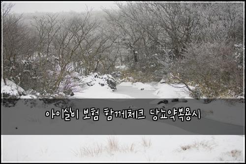 아이실비 보험 함께체크  당뇨약복용시