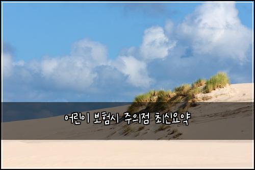 ์ด๋ฆฐ์ด ๋ณดํ์ ์ฃผ์์ ์ต์ ์์ฝ