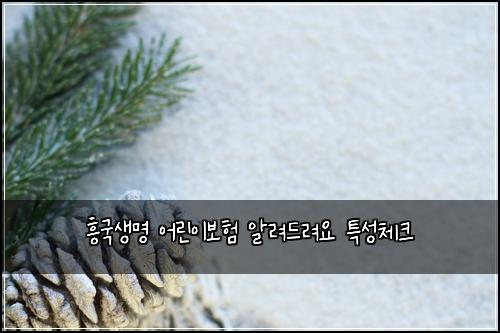 ํฅ๊ตญ์๋ช
์ด๋ฆฐ์ด๋ณดํ ์๋ ค๋๋ ค์ ํน์ฑ์ฒดํฌ