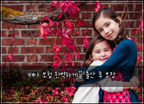 태아 보험 완벽하게끝  출산 후 보장