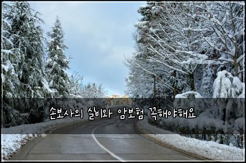 손보사의 실비와 암보험 꼭해야해요 