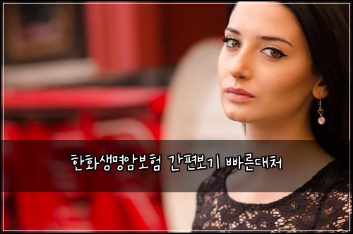 한화생명암보험 간편보기  빠른대처