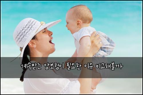 ๊ณ์๋ฐ๋ ์๋ณดํ์ด ํ์ํ ์ด์ ๋น๊ตํด๋ณผ๊น