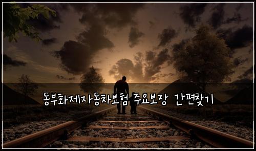 동부화제자동차보험 주요보장  간편찾기