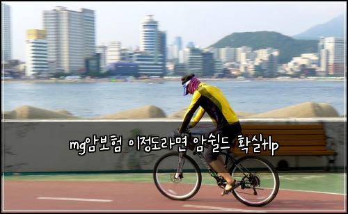 mg์๋ณดํ ์ด์ ๋๋ผ๋ฉด ์์ด๋ ํ์คtlp