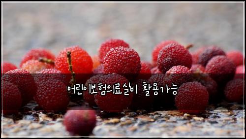 어린이보험의료실비 활용가능