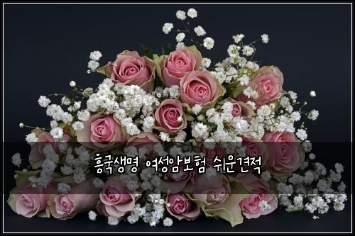 흥국생명 여성암보험 쉬운견적 