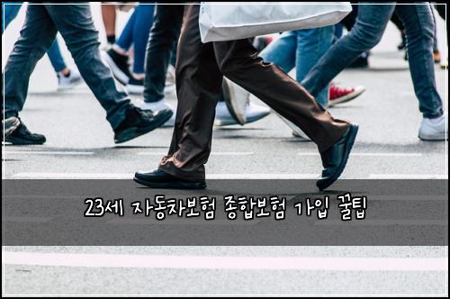 23세 자동차보험 종합보험 가입 꿀팁