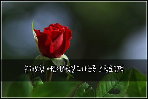 손해보험 어린이보험알고가는곳 보험료견적