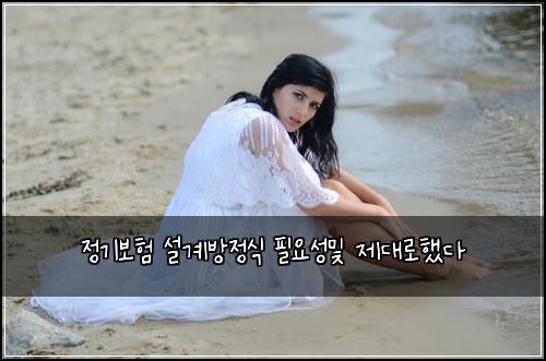 정기보험 설계방정식  필요성및 제대로했다