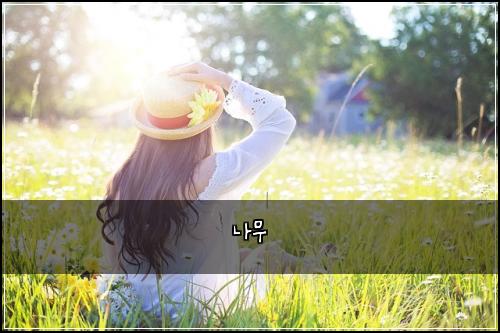 나무
