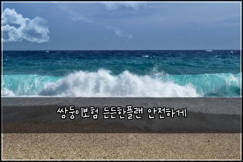 쌍둥이보험 든든한플랜  안전하게