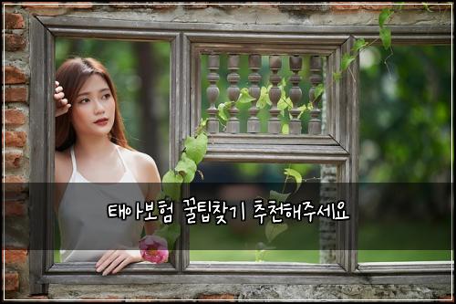 태아보험 꿀팁찾기  추천해주세요