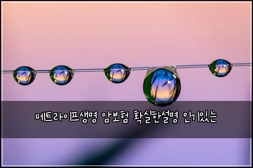 메트라이프생명 암보험 확실한설명  인기있는
