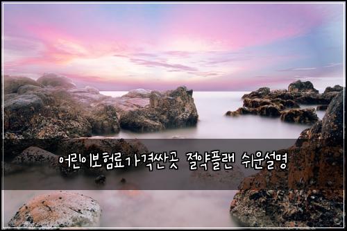 어린이보험료가격싼곳 절약플랜 쉬운설명