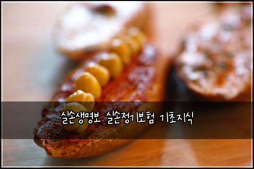 실손생명보 실손정기보험 기초지식 