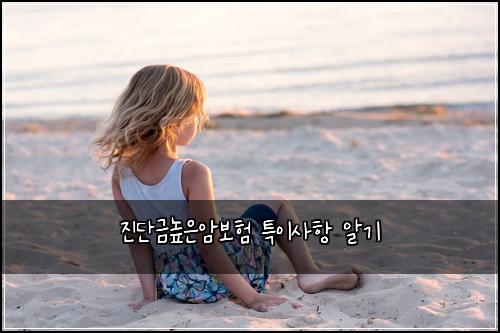 진단금높은암보험 특이사항  알기
