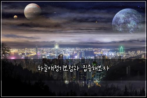 하늘애정기보험과 집중해보자