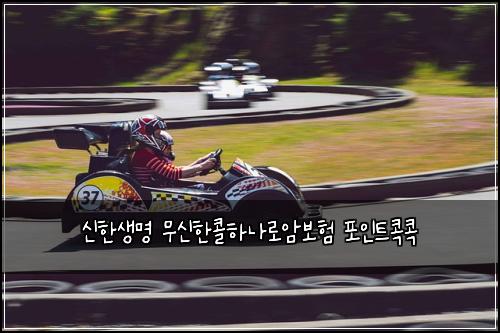 신한생명 무신한콜하나로암보험 포인트콕콕 
