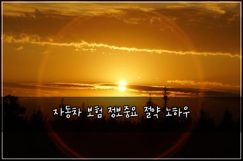 ์๋์ฐจ ๋ณดํ ์ ๋ณด์ค์ ์ ์ฝ ๋
ธํ์ฐ