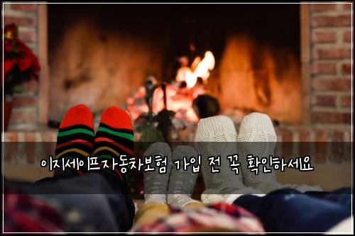 이지세이프자동차보험 가입 전 꼭 확인하세요