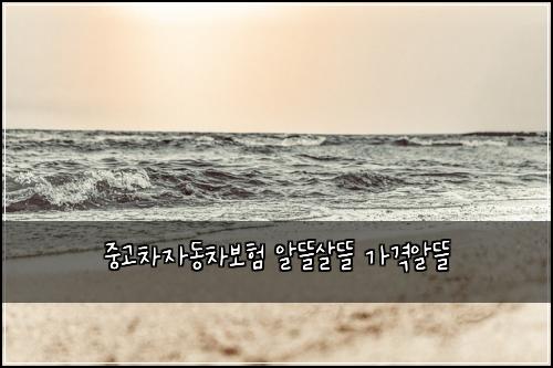 중고차자동차보험 알뜰살뜰  가격알뜰