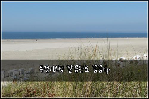 무정기보험 깔끔완료  꼼꼼tip